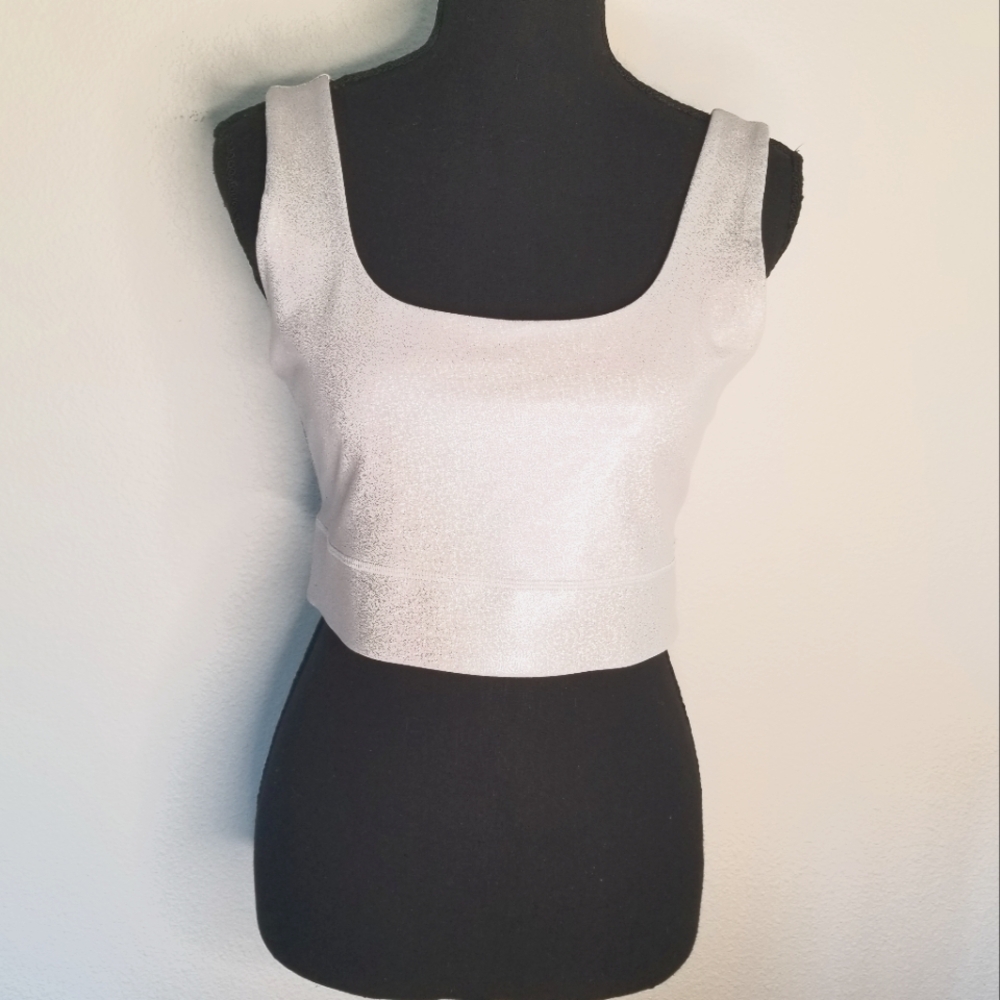 Fabletics Oasis Holographic Workout Top Sports Bra Gray Sparkly Shiny Cropped
